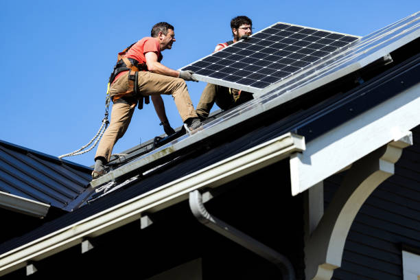 Best Roof Moss and Algae Removal  in Marysville, PA